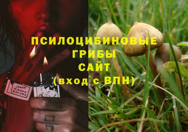 крисы Няндома