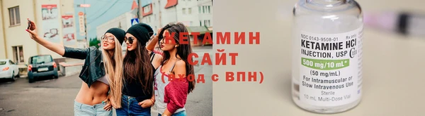 крисы Няндома