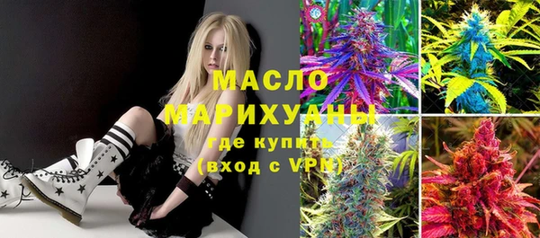 крисы Няндома