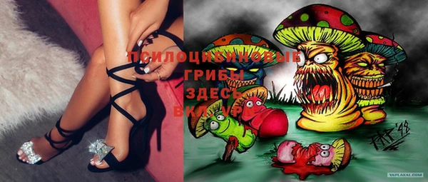 крисы Няндома