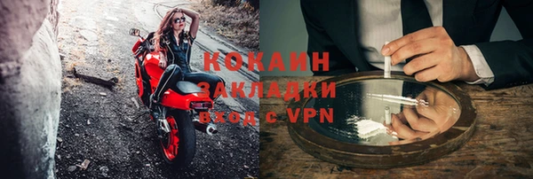 крисы Няндома