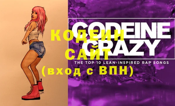 крисы Няндома
