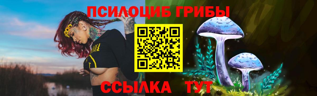 Стерлитамак  Псилоцибиновые грибы Psilocybine cubensis  Вход с VPN 
